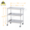 Three-shelved Stainless Steel Utility Cart(TW-08SA) 